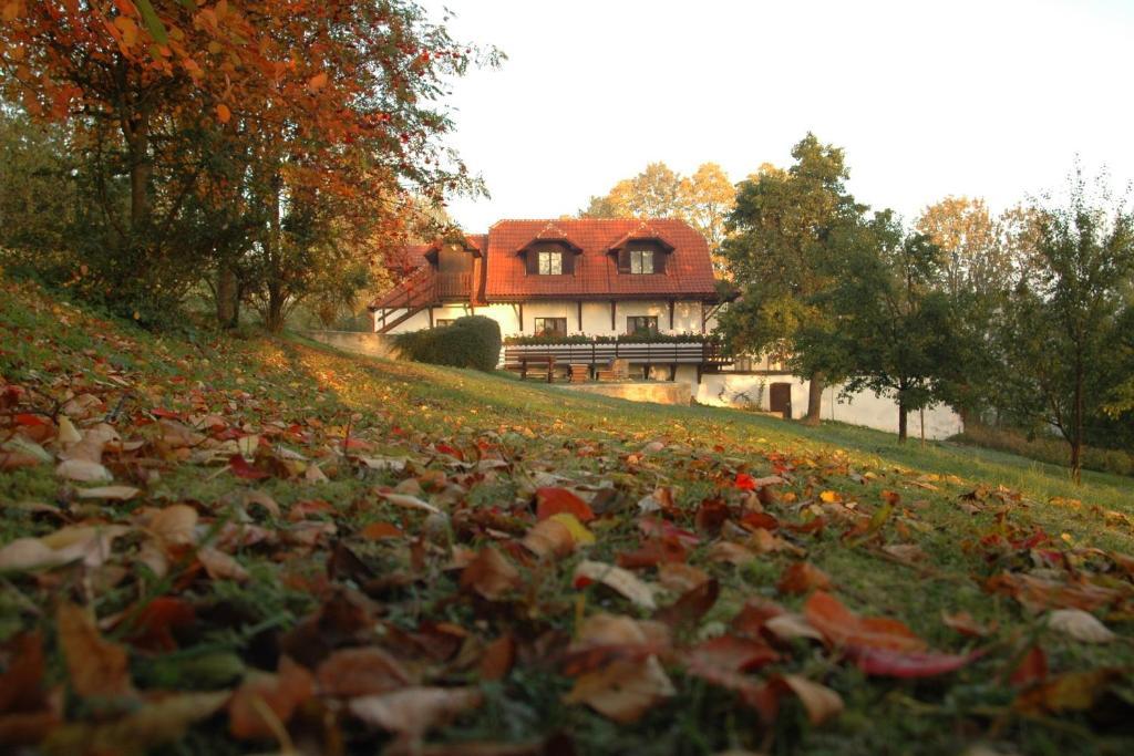 Penzion Dvur Apartment Obora  Exterior photo